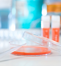 營(yíng)養(yǎng)成分檢測(cè)