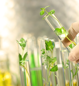 植物提取物含量檢測(cè)